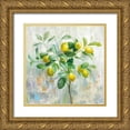 thumbnail image 1 of Nai, Danhui 26x26 Gold Ornate Wood Framed with Double Matting Museum Art Print Titled - Lemon Branch, 1 of 4