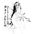 thumbnail image 1 of Nai Palm - Needle Paw - Music & Performance - CD, 1 of 1