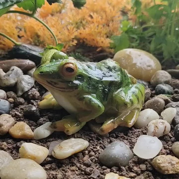 Naierhg Frog Statue Mini Durable Resin Terrarium Micro Landscape Frog Miniature for Gift