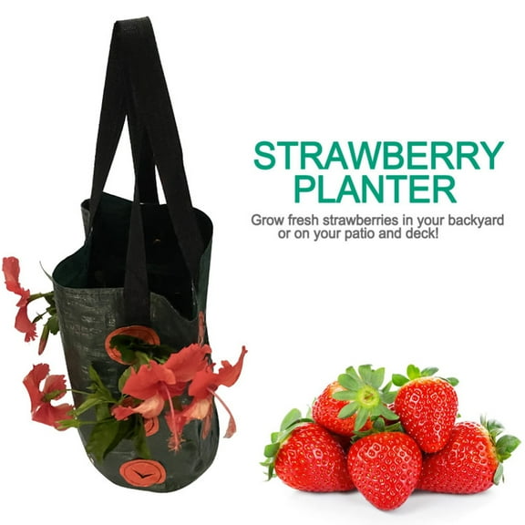 Naierhg Growing Bag Hanging Style Strawberry Planter Durable Breathable Planting Pouch Container for Vegetable Planting,Black