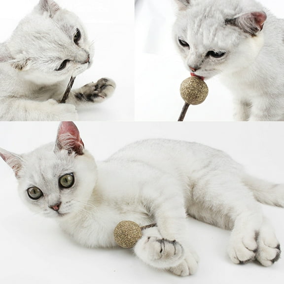 Naierhg Lollipop Shape Catnip Ball Cat Toy Kitten Teeth Cleaning Snack Silvervine Stick Brown