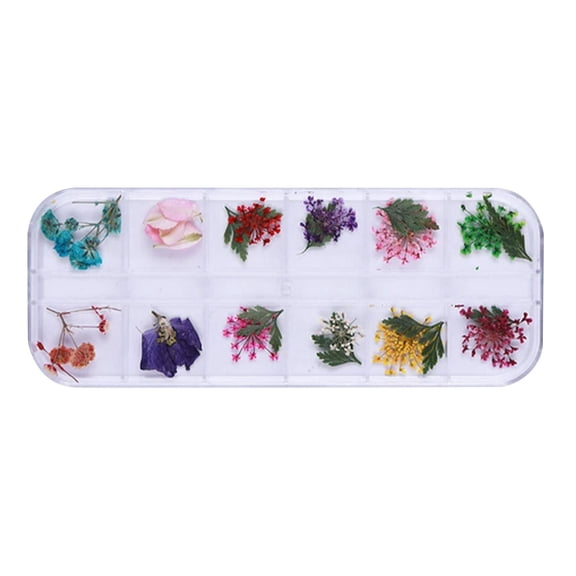 Nail Accessories Prime Set Dry Flower 12 Colors with 24 Starry Sun Flower Stickers for Decoration and Long Lasting Enhancements,13cm,Clear