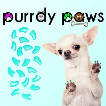Nail Caps for Dogs 6 Month Supply - Purrdy Paws - Turquoise Jumbo
