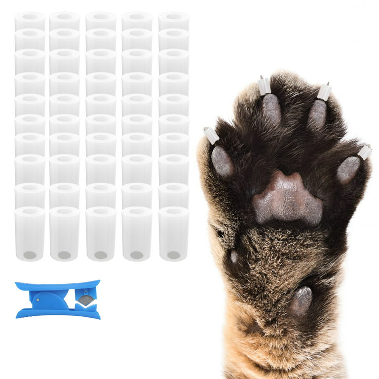 Nail Grips for Dogs - Instant Traction on Wood/Hardwood Floors - Dog Anti  Slip Relief - Dog Grippers for Senior Dogs - Stop Sliding Instantly -  ToeGrips for Dogs - 1 pack XS(50 grips) 