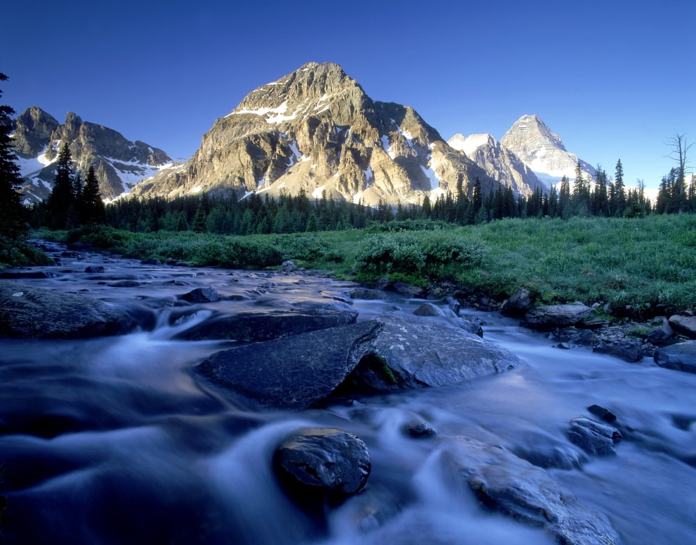 Naisett Point Mt Assiniboine And Magog Creek British Columbia Canada Canvas Art - David Nunuk Design Pics (32 x 26)