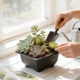 thumbnail image 1 of Naittoop Herb Window Boxes,Black Plantser, Flower Rectangular Plastic Pot for Balcony, Office, Windowsill, Garden, Indoor Outdoor Decor 4.7*4.7*2.4 in, 1 of 6