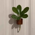 thumbnail image 1 of Naittoop Mini Vase Magnets for Fridge with Test Tube,Magnetic Wooden Wall Vase Holders,Magnetic Attachment Hard no Falling, Modern Home for Kitchen, Bedroom, Storage, Office Decor 4 in A, 1 of 6