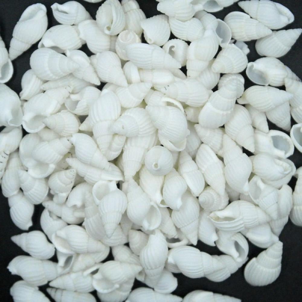 Shell 100pcs Naiyafly 100PCS Shells Starfishes Natural conch shells screw wall ...