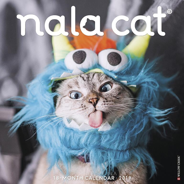 Nala Cat 2019 Wall Calendar (Other)
