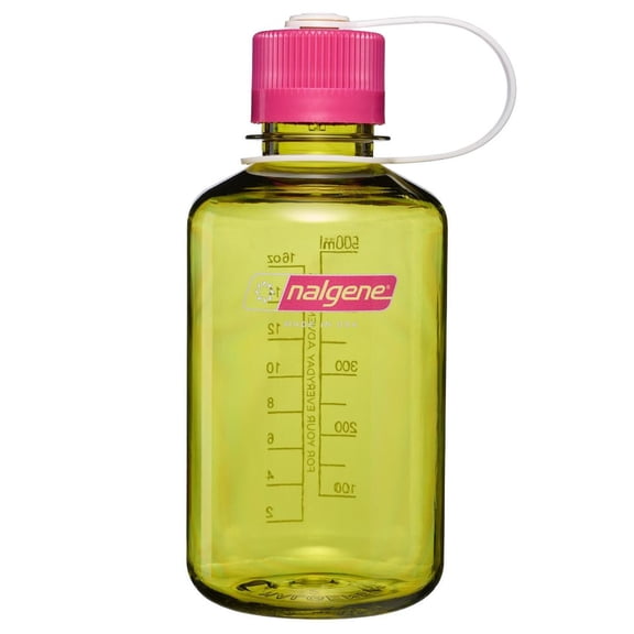 Nalgene Sustain 16 oz. Narrow Mouth Water Bottle - Endive/Purple