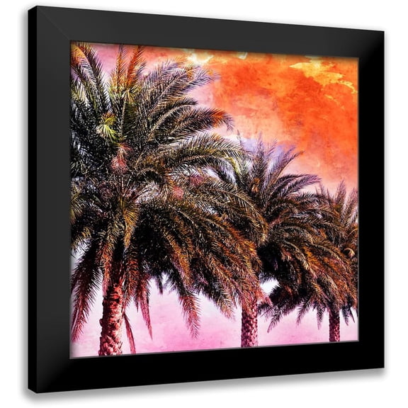 Nall, Skip 12x12 Black Modern Framed Museum Art Print Titled - Hifi Palms I