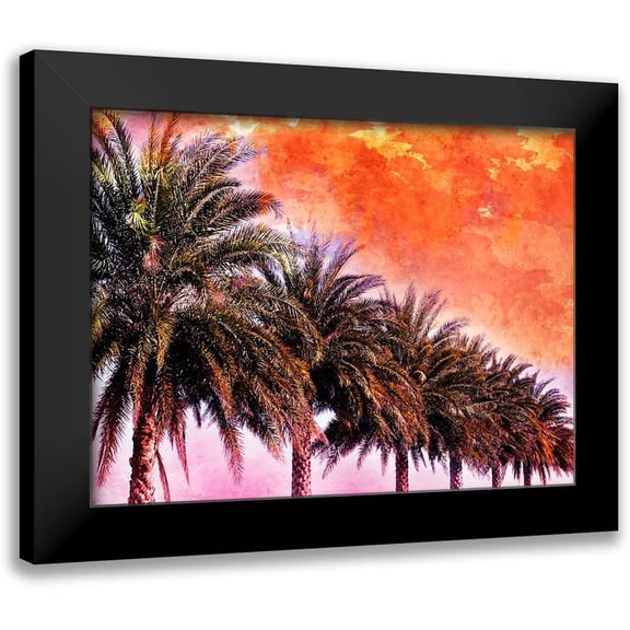 Nall, Skip 14x12 Black Modern Framed Museum Art Print Titled - Hifi Palms III