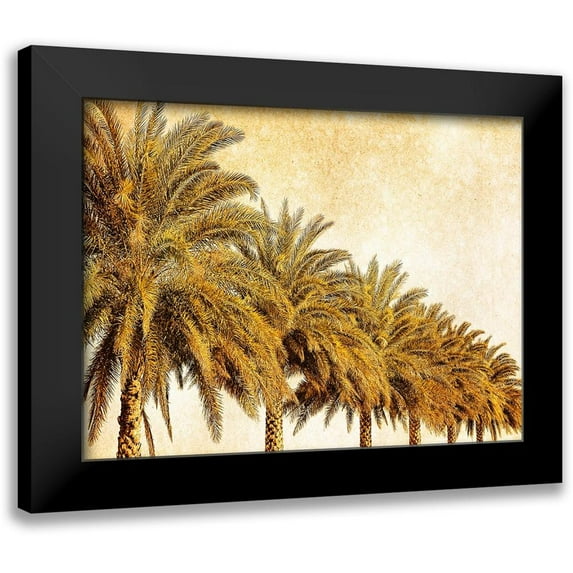 Nall, Skip 14x12 Black Modern Framed Museum Art Print Titled - Palms on Brown I