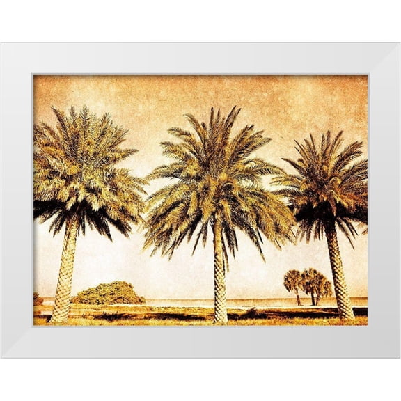 Nall, Skip 14x12 White Modern Wood Framed Museum Art Print Titled - Palms on Brown II