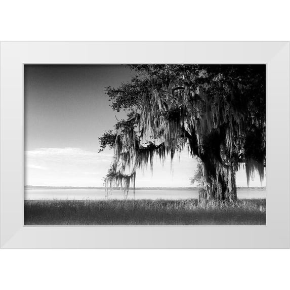 Nall, Skip 32x23 White Modern Wood Framed Museum Art Print Titled - Southern Swing III