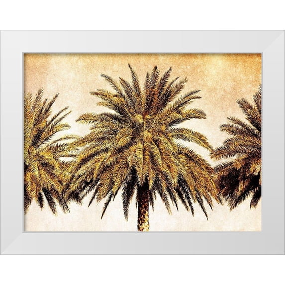 Nall, Skip 32x25 White Modern Wood Framed Museum Art Print Titled - Palms on Brown III