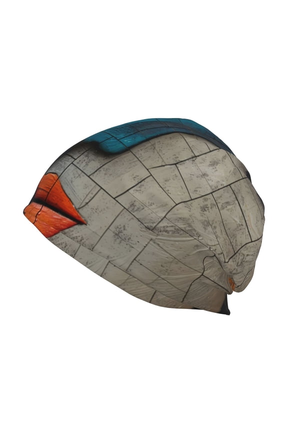 Abstract Colorful Duality Beanie for Men Women Knitted Unisex Winter Hat Beanies Cap Knit Cuffed Beanies Hats