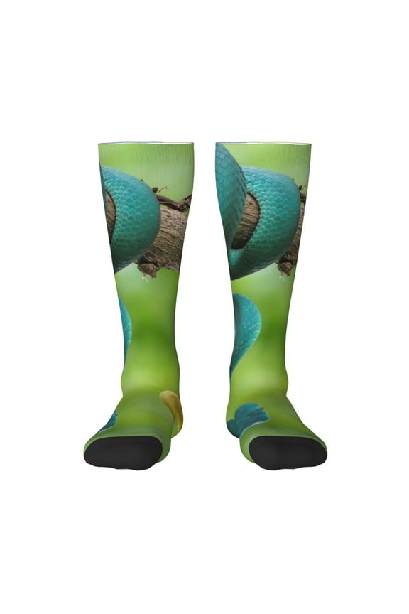 Blue Viper And Yellow Viper Snake Knee Socks, High Socks Long Stretchy Sock Women Knee High Stocking, Long Socks for Women