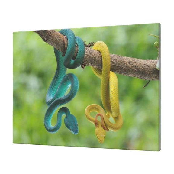 Naloa Blue Viper And Yellow Viper Snake Print Canvas Picture,Wall Pictures, Modern Decorative Poster,Art Prints for Bedroom, Toilet, 40 x 30 cm, Built-in Wooden Frame