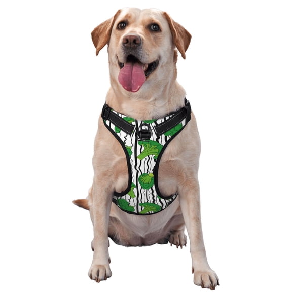 Naloa Broccoli 2 Pet Harness Vest with Traction Rope, Adjustable No-Choke Dog Vest for Outdoor, Walking - Large