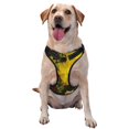 thumbnail image 1 of Naloa Cactus Flowers Pet Harness Vest with Traction Rope, Adjustable No-Choke Dog Vest for Outdoor, Walking - Small, 1 of 5