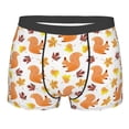 thumbnail image 1 of Naloa Cartoon Squirrel Print Mens Underwear - Boxers for Men, Classic Briefs for Men, 1 of 9