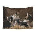 thumbnail image 1 of Naloa Cat Family Dog Blanket, 3 Sizes Cat Blanket for Indoor Cats Large Medium Small Dog Gifts-Large, 1 of 8