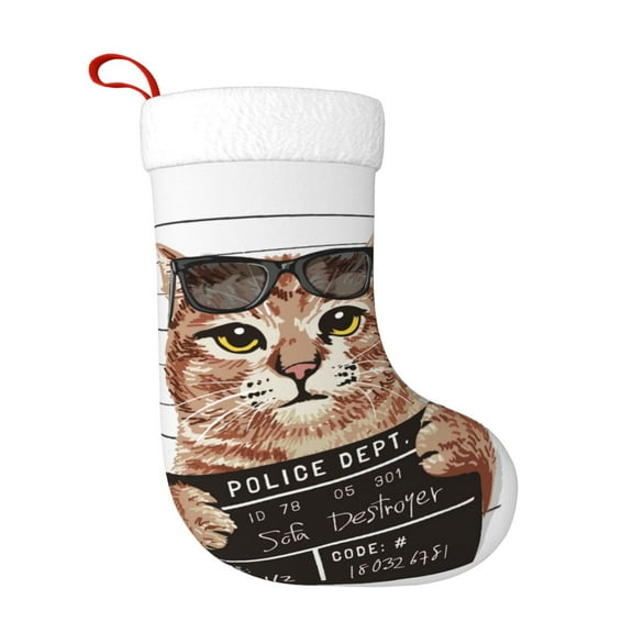 Naloa Cat Holding Mugshot Sign Christmas Stockings Decorations, Xmas Ornaments, DIY Personalized Farmhouse Decor for Home Family Party Tree