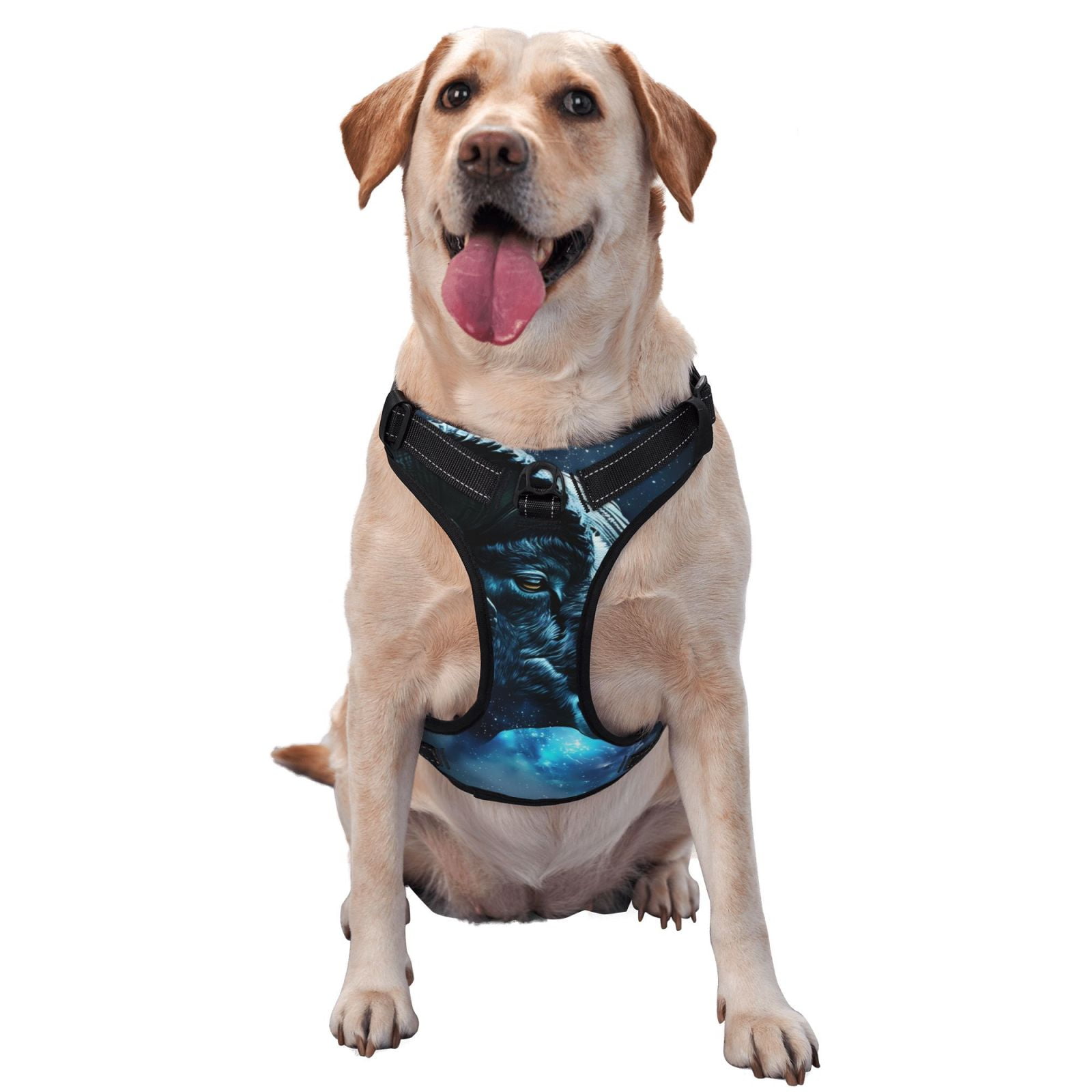 Naloa Celestial Ram Night Sky Dog Harness, Pet Harness Vest with Traction Rope, Dog Vest for Outdoor, Walking - {sizeName}-Small