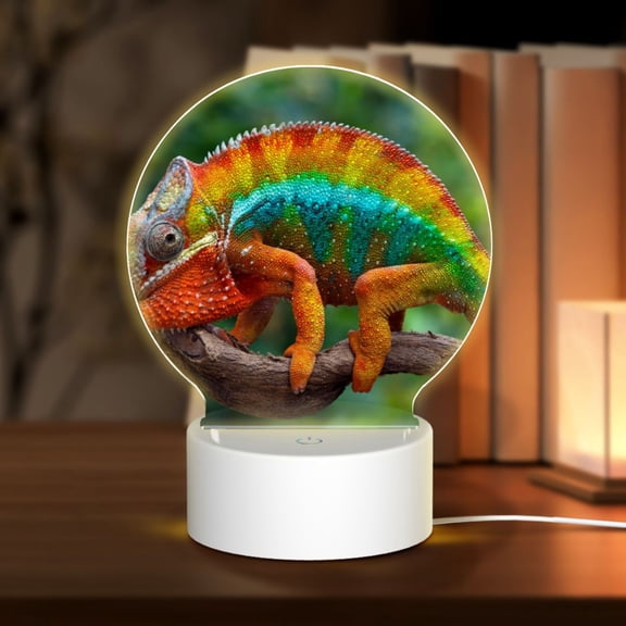 Naloa Chameleon Acrylic LED Night Light Custom LED Lights Personalized Nightlight Customized Gifts for Family Couples Friends
