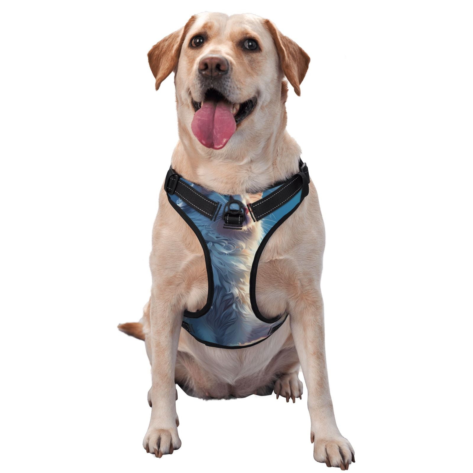 Naloa Clear Sky Blue Cat Pet Harness Vest with Traction Rope, Adjustable No-Choke Dog Vest for Outdoor, Walking - Medium