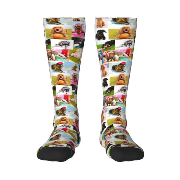 Naloa Collage of pretty dogs Knee Socks, High Socks Long Stretchy Sock Women Knee High Stocking, Long Socks for Women