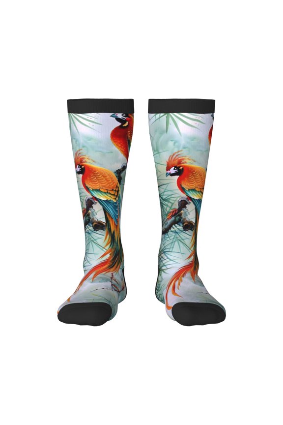 Colorful Birds Pine Branch Knee Socks, High Socks Long Stretchy Sock Women Knee High Stocking, Long Socks for Women