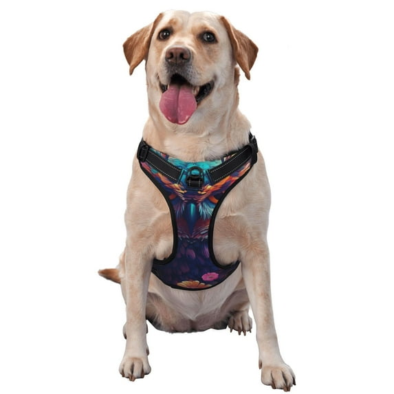Naloa Colorful Feather Owl Pet Harness Vest with Traction Rope, Adjustable No-Choke Dog Vest for Outdoor, Walking - Small