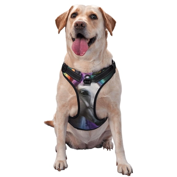 Naloa Colorful Haired White Horse Pet Harness Vest with Traction Rope, Adjustable No-Choke Dog Vest for Outdoor, Walking - Small