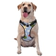 thumbnail image 1 of Naloa Colorful Koi Fish Dog Harness, Pet Harness Vest with Traction Rope, Dog Vest for Outdoor, Walking - {sizeName}-Medium, 1 of 6