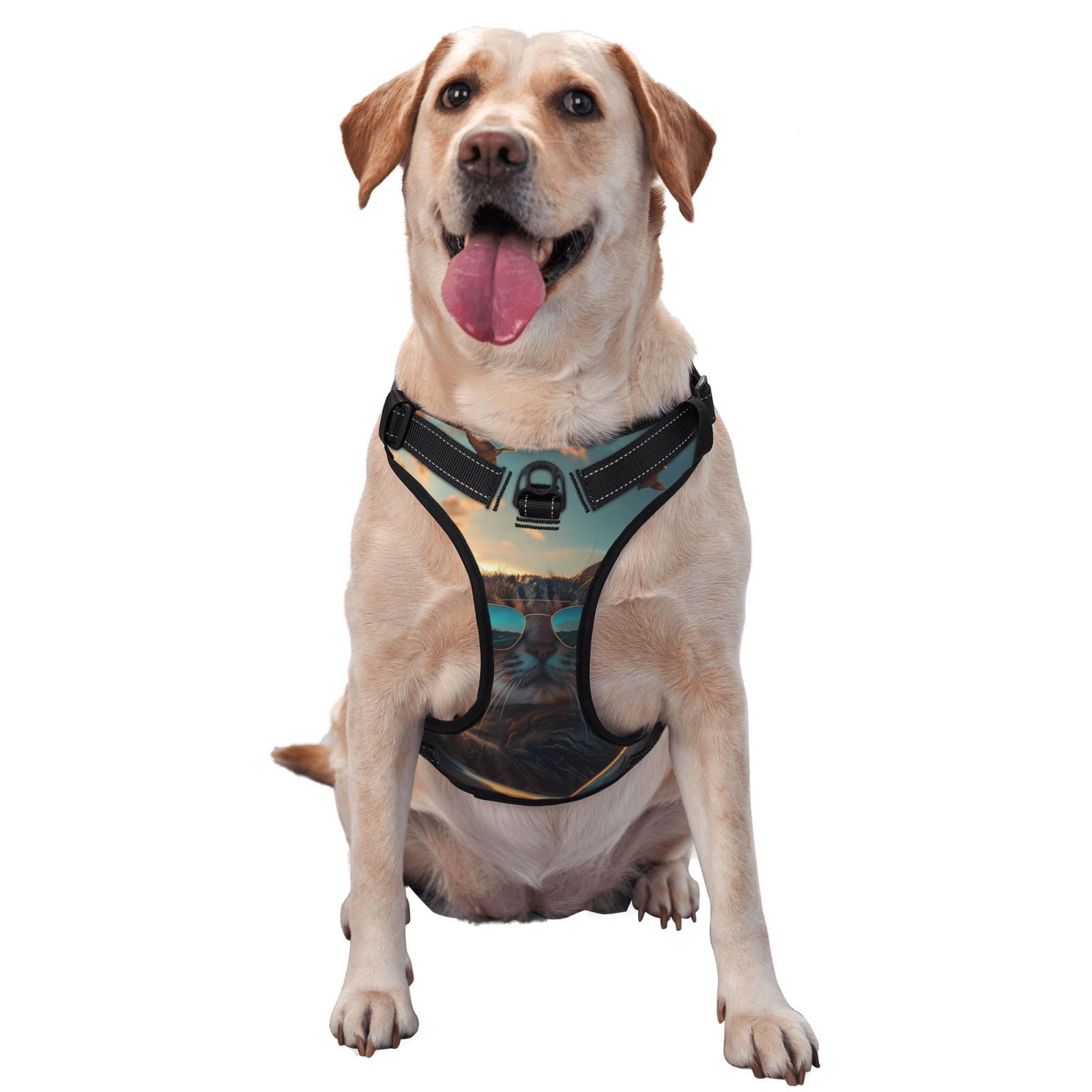 Naloa Cool Cat Driving Sunset Dog Harness, Pet Harness Vest with Traction Rope, Dog Vest for Outdoor, Walking - {sizeName}-Large