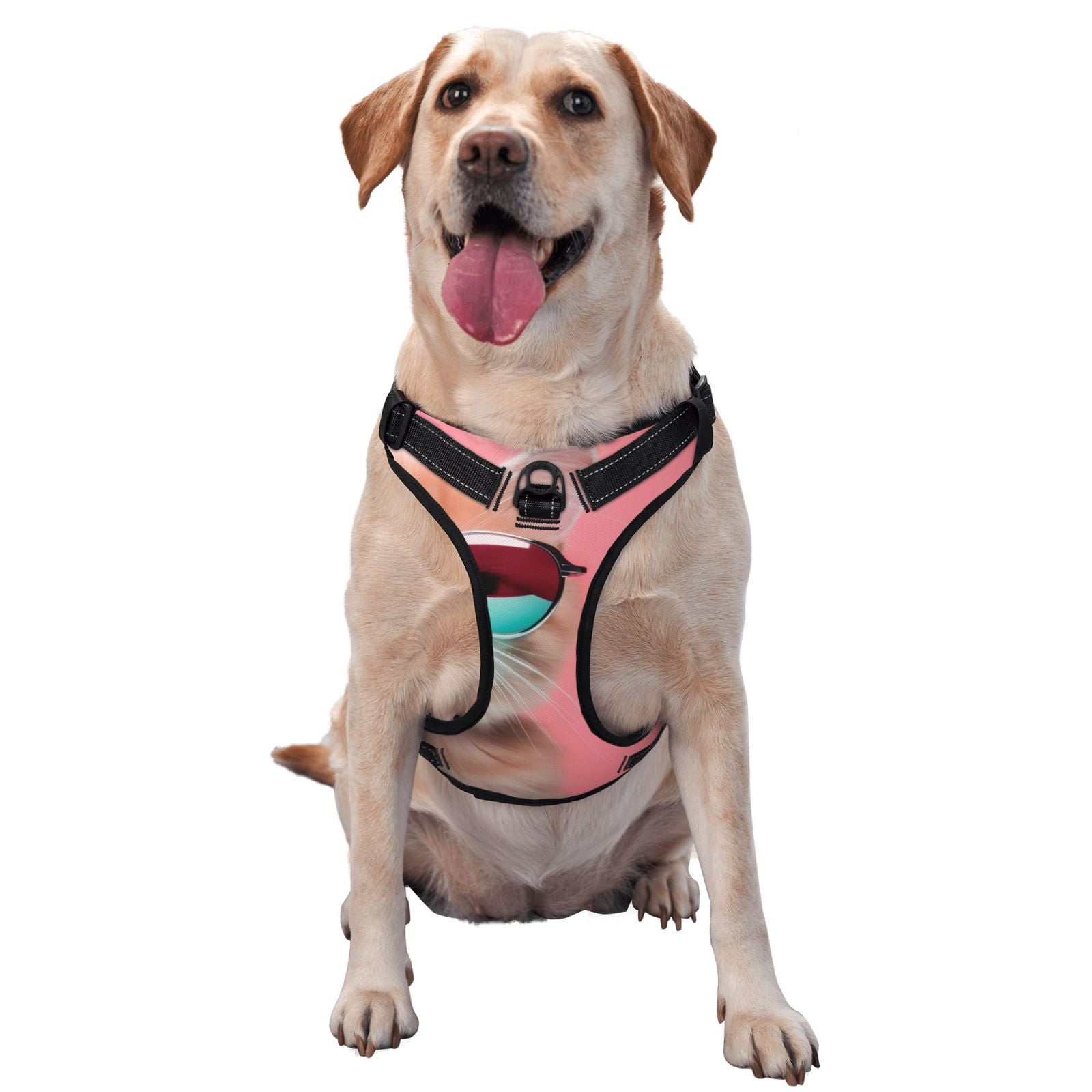 Naloa Cool Cat Pink Sunglasses Dog Harness, Pet Harness Vest with Traction Rope, Dog Vest for Outdoor, Walking - {sizeName}-Large