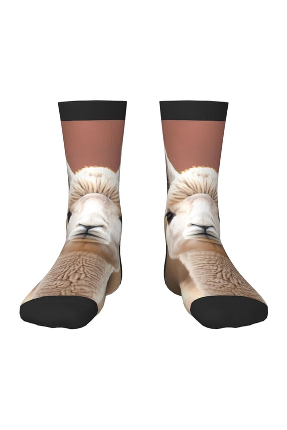 Cute Alpaca in Daze Kids Socks Unisex Kids and Toddlers' Crew Socks, ,1 Pairs