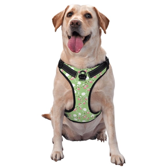 Naloa Cute Frog2 Pet Harness Vest with Traction Rope, Adjustable No-Choke Dog Vest for Outdoor, Walking -