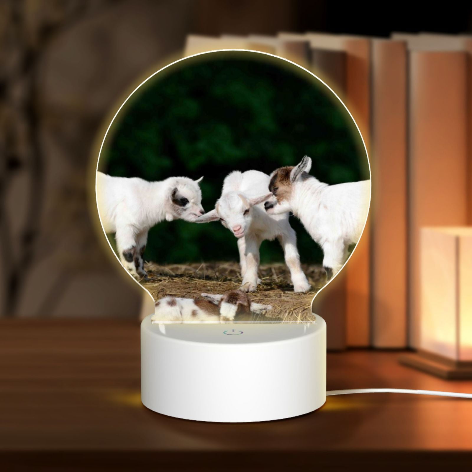 Naloa Cute Goat Baby Acrylic LED Night Light Custom LED Lights Personalized Nightlight Customized Gifts for Family Couples Friends