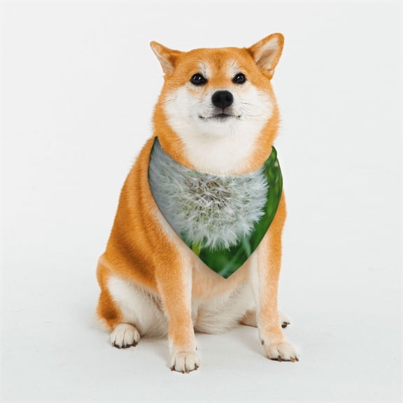 Naloa Dandelion Flower In The Meadow Dog Bandana Large and Small-Dog Scarf Bib Handkerchief Accessories for Dogs and Cats(S-L)-Large