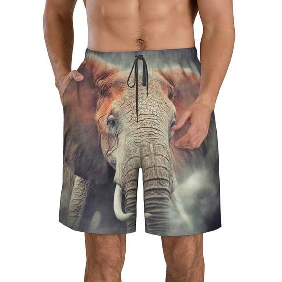 Naloa Elephant in Smoke Men's Beach Shorts, Surfing shorts, Swim trunks, Quick Dry Swim Trunks for Surfing Beach Fun - 3X-Large