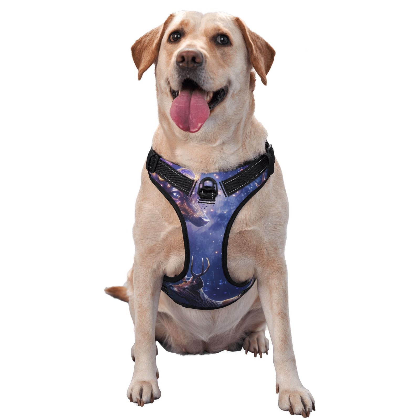 Naloa Enchanted Forest Stag Gathering Dog Harness, Pet Harness Vest with Traction Rope, Dog Vest for Outdoor, Walking - {sizeName}-Small