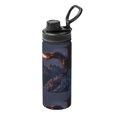thumbnail image 1 of Naloa Fire Breathing Dragon Twilight 18oz Sports Insulated Kettle, Stainless Steel Insulated Cup for Women Men for Fitness, Gym & Outdoor, 1 of 7