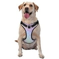 thumbnail image 1 of Naloa Fish Scale1 Pet Harness Vest with Traction Rope, Adjustable No-Choke Dog Vest for Outdoor, Walking - Small, 1 of 4