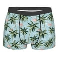 thumbnail image 1 of Naloa Flamingos And Palms Print Mens Underwear - Boxers for Men, Classic Briefs for Men, 1 of 9