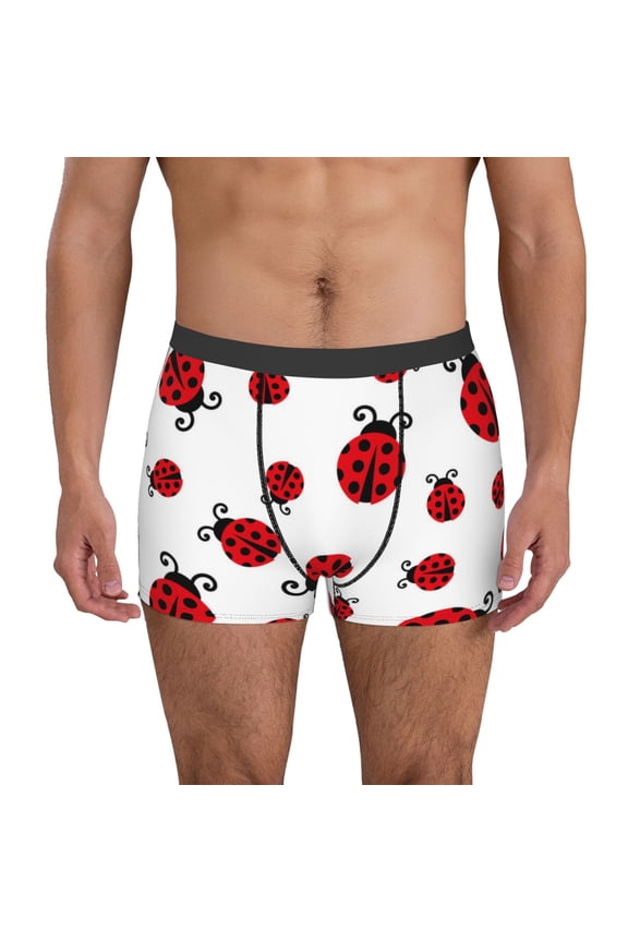 Fly Flying Ladybug Mens Underwear - Boxers for Men, Mens Boxer Briefs, Classic Briefs for Men-X-Large