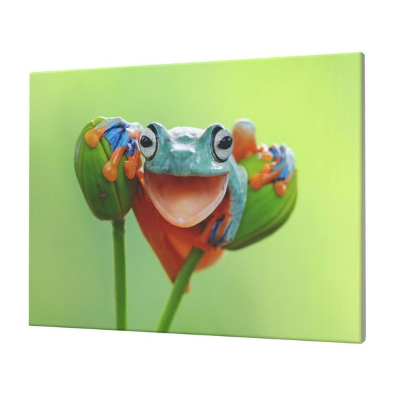 Naloa Flying Frog On Branch Print Canvas Picture,Wall Pictures, Modern Decorative Poster,Art Prints for Bedroom, Toilet, 40 x 30 cm, Built-in Wooden Frame