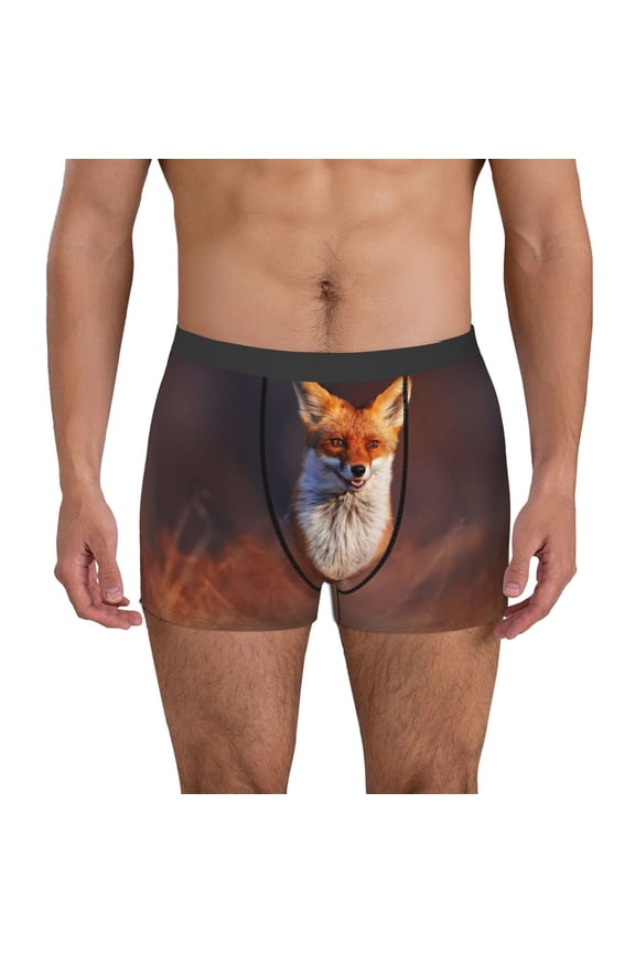Fox Run On Orange Autumn Gress Meadow Mens Underwear - Boxers for Men, Mens Boxer Briefs, Classic Briefs for Men-Small